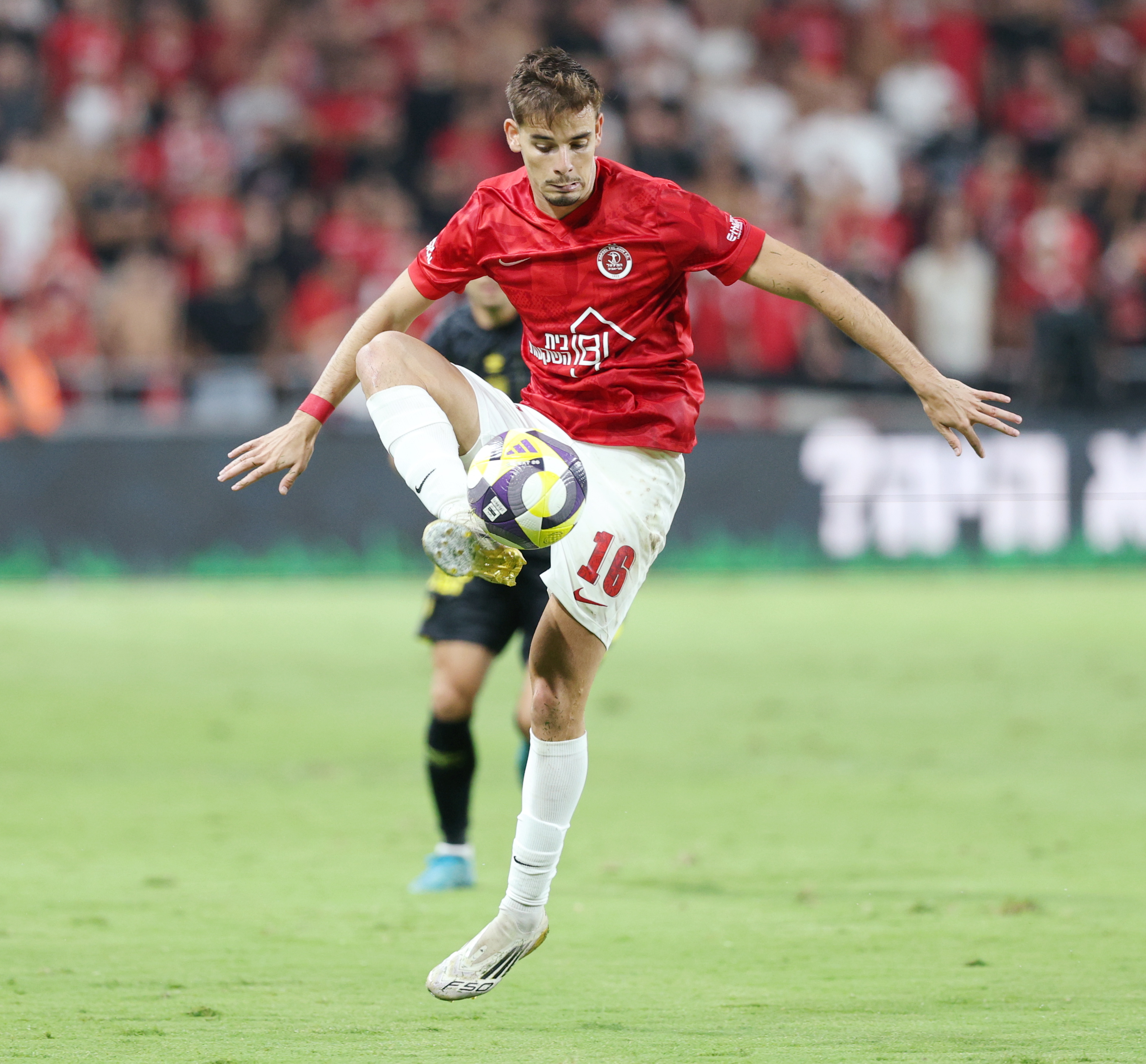 הפועל תל אביב ממשיכה את הריצה: ניצחון חשוב מול מכבי חיפה